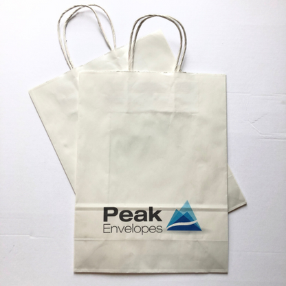 White 100gsm Gusset Twisted Paper Handle Retail Bag